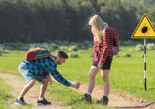 Powyżej 7 stopni Celsjusza robi się ryzykownie. Te małe pajęczaki już atakują