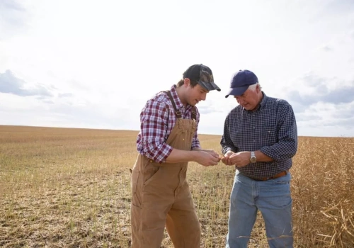Ile płacić synowi za pracę w gospodarstwie? 4 tys. zł wywołało burzę
