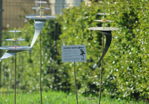 W Lublinie powstał Ogród Winylowy. „Czy to ma sens? Nie wiem. Ale ma miejsce”