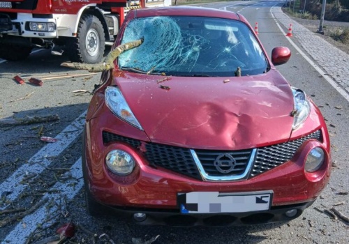 Drzewo spadło na jadące auto! Część gałęzi wbiła się w pojazd