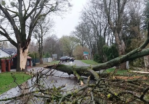 Wieje, i wciąż będzie wiało. Synoptycy wydali ostrzeżenie na najbliższy dzień i noc