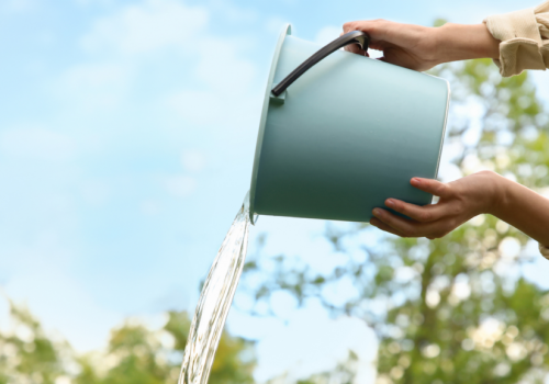 Absolutnie tego nie rób w Śmigus-Dyngus! To przynosi pecha!