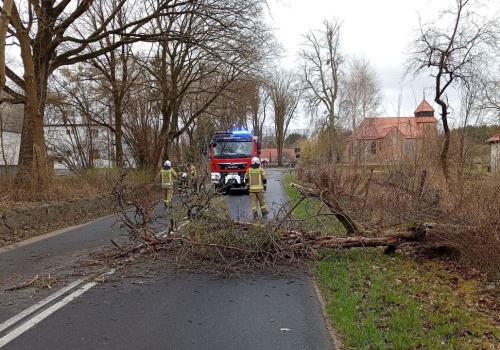Wiatr się rozhulał - strażacy w Zachodniopomorskiem interweniowali prawie 100 razy