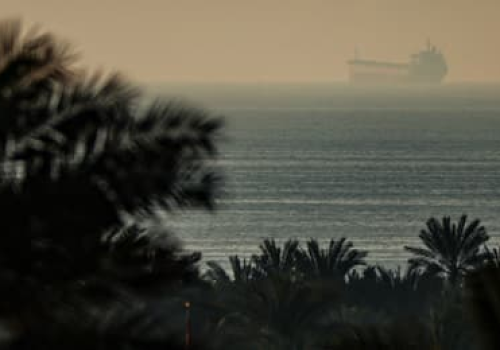 Tykająca bomba w Zatoce Perskiej. Jak wojna w Iranie zagraża zwierzętom i środowisku?