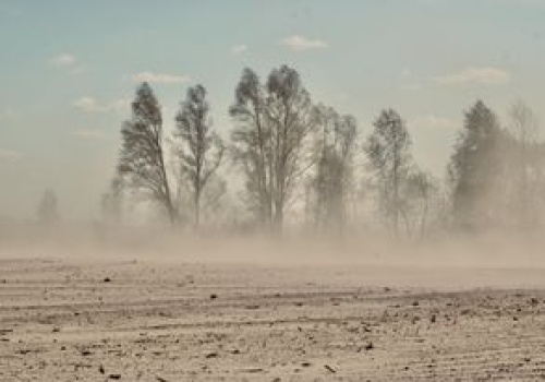 Burza pyłowa między Choczewem a Lubiatowem. Widoczność spadła do zera