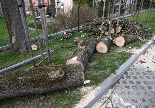Straż Pożarna: ponad 2000 interwencji strażaków w związku z silnym wiatrem