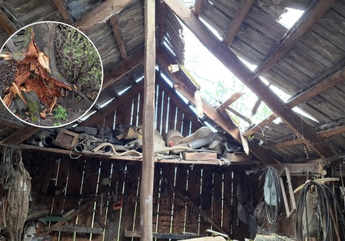 750 odbiorców bez prądu i 119 interwencji strażaków po wichurach