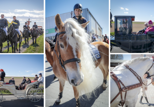 Wielkanocny objazd pól w powiecie raciborskim