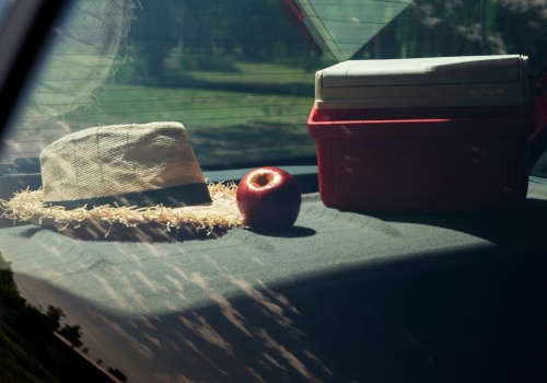 Zostawiasz auto na słońcu i wracasz do piekarnika. Ten sprzęt rozwiązuje problem