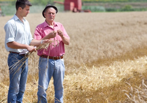 Czy można zmienić negatywny obraz polskiej wsi w mediach i społeczeństwie?