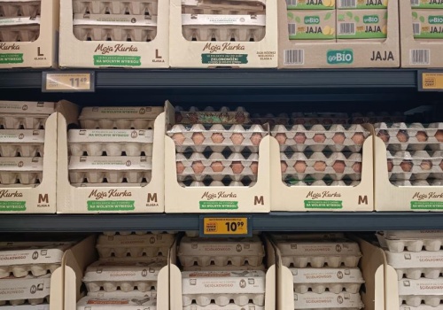 Rewolucja na rynku jaj. Miliony kur znikają z klatek