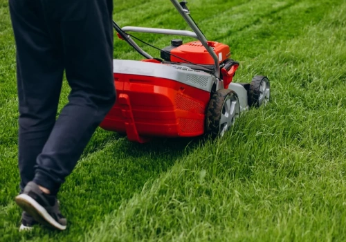 Chwyciłam za kosiarkę za wcześnie. Trawnik odchorowywał to miesiącami