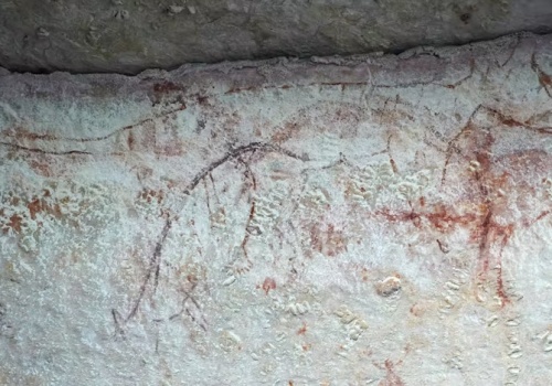 Rysunki naskalne zdradziły prawdę o australijskim ssaku. Zamieszkiwał kontynent tysiące lat dłużej