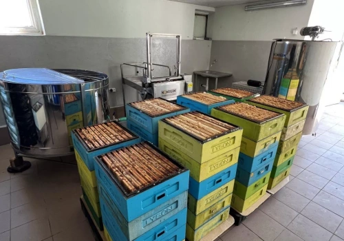 59 mln zł dla pszczelarzy – ARiMR rozpatrzyła wszystkie wnioski złożone w październikowo-listopadowym naborze