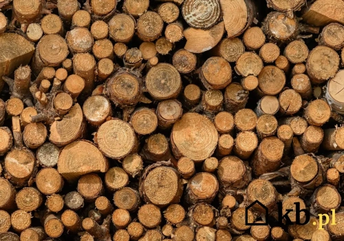 To drewno spala się wolno, daje dużo ciepła i nie kopci. Mało kto zna jego zalety