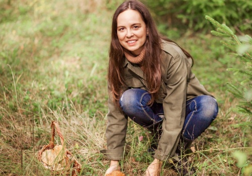 Te grzyby już znajdziesz w lesie. Grzybiarze są zachwyceni