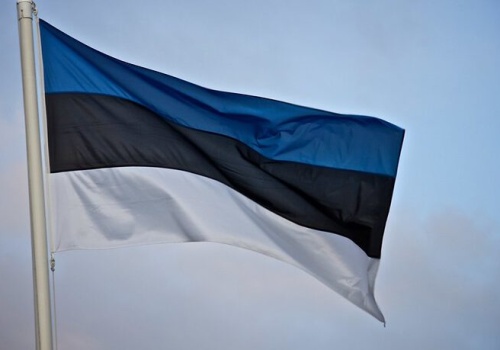 Wywiad Estonii: Ukraina powinna atakować dronami Rosję z dala od naszych granic