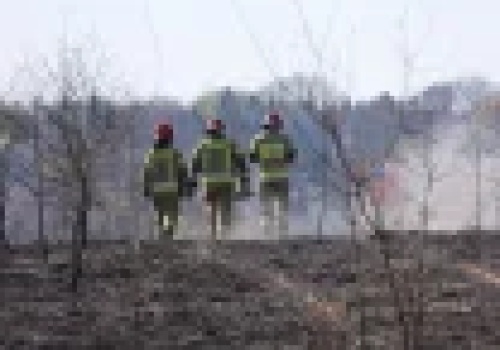 Lublin. Dziwny pożar zielonych płuc miasta