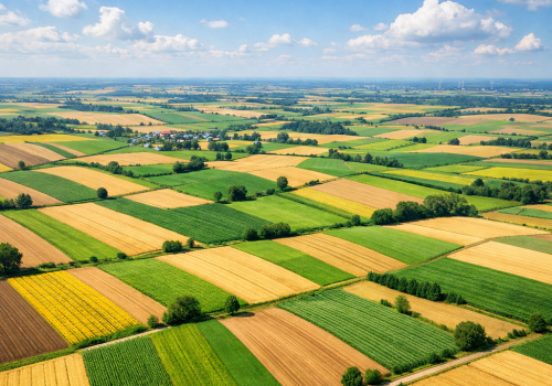 Gleby się wyczerpują. Naukowcy szukają ratunku w „granulatach życia”