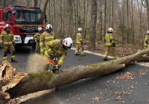Ponad 300 interwencji strażaków w związku z wichurą na Pomorzu
