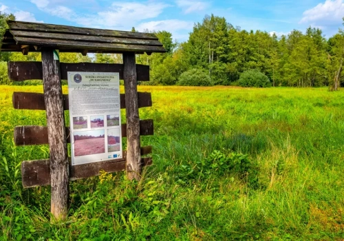 Skrajnie niebezpieczny trend. Park apeluje do turystów