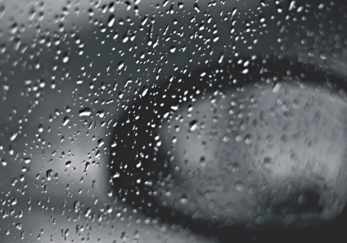 Czy można mieć samochód bez prawa jazdy? Sprawdzamy