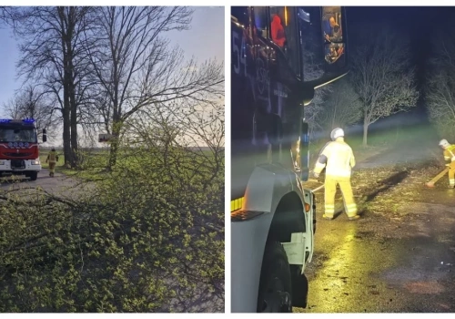 Silny wiatr w regionie. 11 interwencji strażaków w powiecie wysokomazowieckim