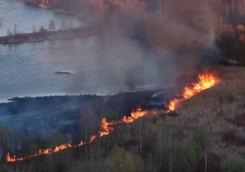 Pożar w Żabich Dołach. Ogień objął 3 tys. m. Świadkowie mówią o podpaleniu