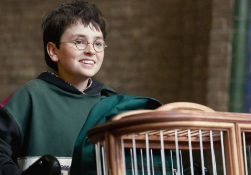 Zdradzili kulisty serialu o Harrym Potterze. 