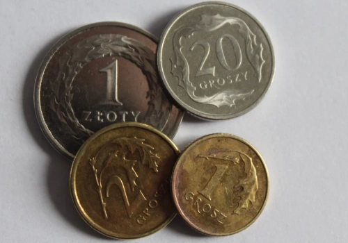 Zajączkowska: Brońmy gotówki i złotego!