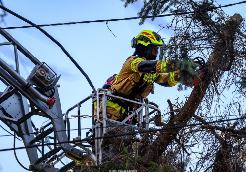Silny wiatr. Ponad 3 tysiące interwencji w Lany Poniedziałek