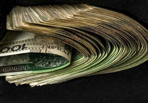 Zarządzanie budżetem nam wychodzi, ale na ETF-ach polegamy. Nowy raport