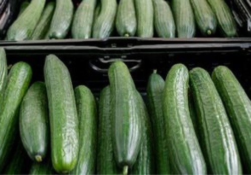 Wysłali ogórki do Polski, zarobili ponad 106 mln zł. Skąd pochodzą?