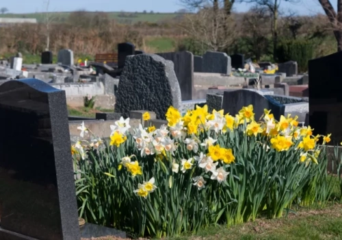 Zmarli we Wrocławiu - pogrzeby zaplanowane na 8.04.2026 – nekrologi