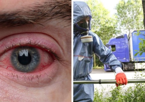 Niemcy przygotowują się na trującą plagę. Zagrożenie rośnie z dnia na dzień