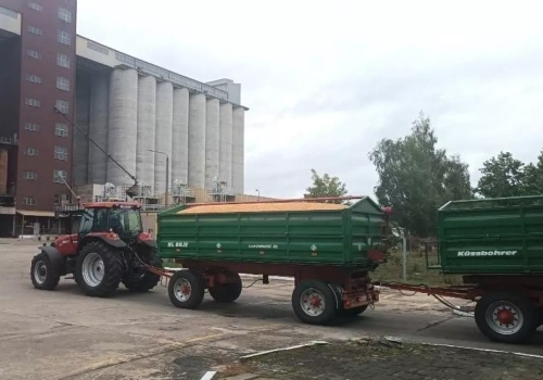 Pszenica w górę. Sprawdzamy ceny zbóż i rzepaku w Polsce