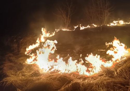 Szybka reakcja policjantów zapobiegła rozprzestrzenieniu się pożaru w Rejowcu Fabrycznym