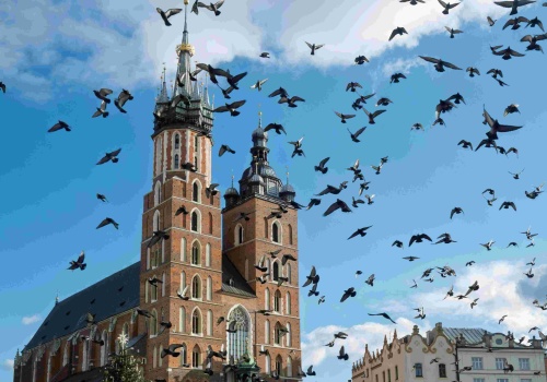 Opublikowano „Czarną Księgę 2026”. Kraków nie zawiódł. Jest też były marszałek