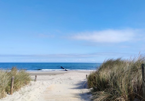 Workation w Polsce – gdzie jechać i czy to w ogóle ma sens?