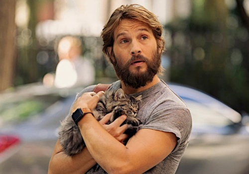 Wielka aukcja dla fanów uniwersum „Seksu w wielkim mieście”. Wylicytować można nawet drapak dla kota