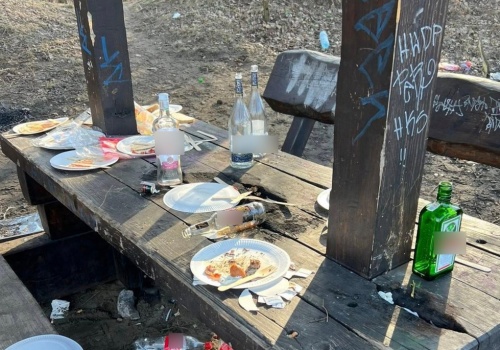 Porzucają grille w Lesie Bielańskim i... pampersy. 