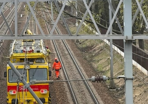 Drzewo spadło na sieć trakcyjną. Pociągi pod Warszawą notują duże opóźnienia