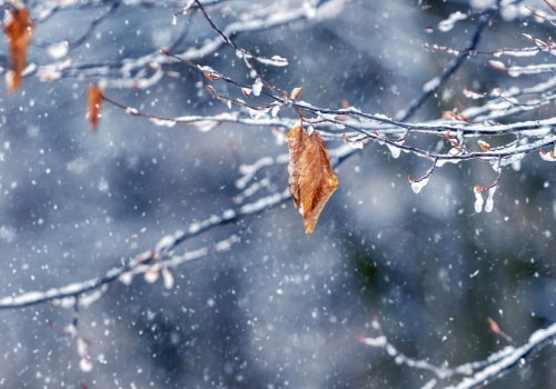 W środę znów może padać śnieg