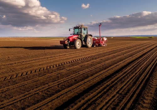 Nie tylko paliwo. Wojna w Iranie może wywołać globalny kryzys żywnościowy