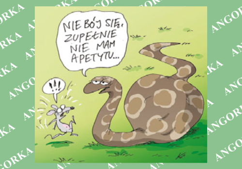 Pytony rozwiążą problem otyłości? Badania są bardzo obiecujące