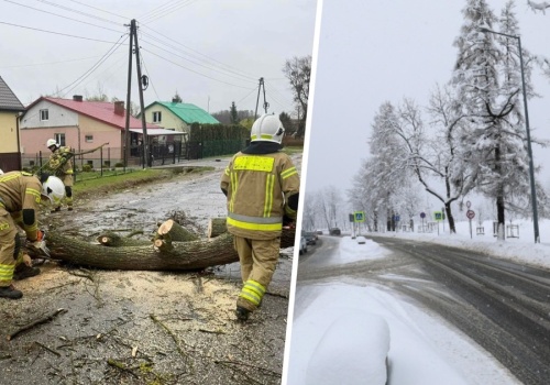 Fala chłodu nad Polską. Silny wiatr spotęguje odczucia. W kilku regionach pojawi się śnieg!