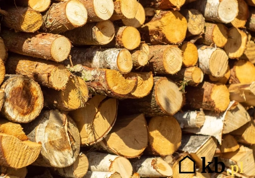 To drewno pali się długo, ale trudno je rozpalić. Wymaga nawet 2 lat suszenia