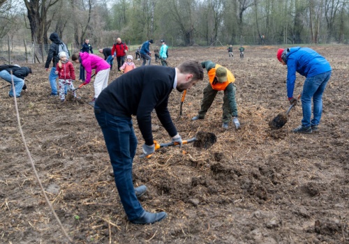 W Krakowie powstanie nowy park? Prezydent Aleksander Miszalski: To miejsce ma ogromny potencjał