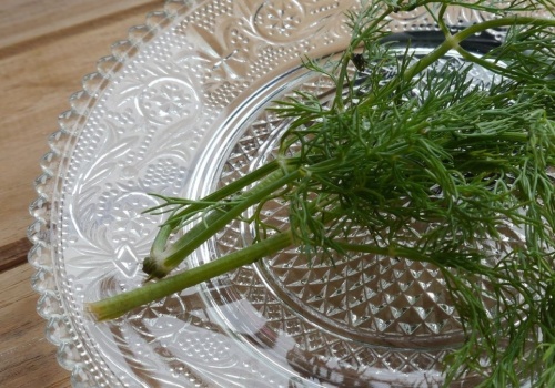 Przechowuj tak koperek. Przedłużysz jego świeżość o kilka tygodni