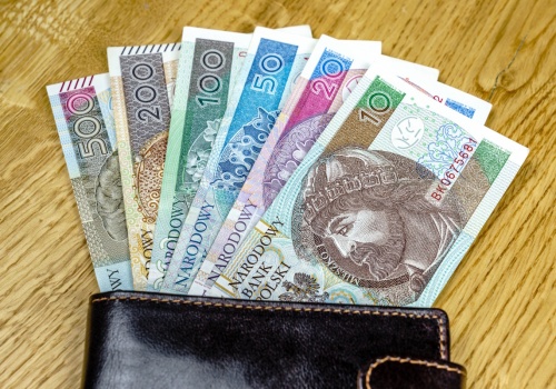 Zalecenie Banku Estonii ws. gotówki. Co na to polskie władze?